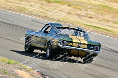 media/Mar-23-2025-West Coast Racing (Sun) [[de161b708f]]/Yellow Group/Session 3 (Turns 3 and 5)/